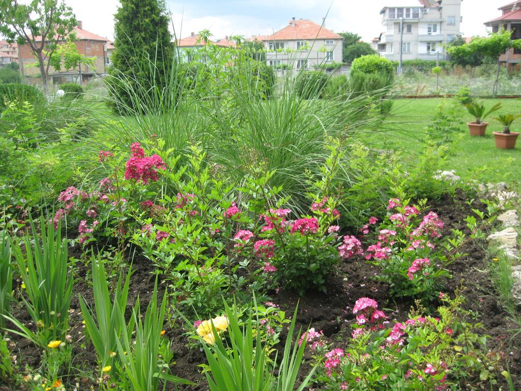 Chateau Aheloy Pomorie Bagian luar foto